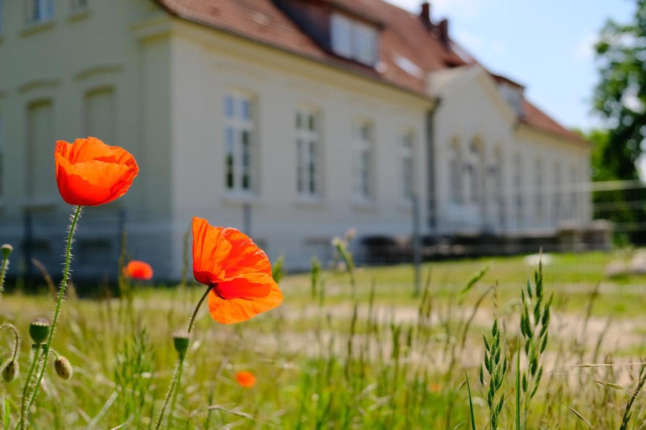 Gutshaus Fewo Luebeck Dassow 외부 사진